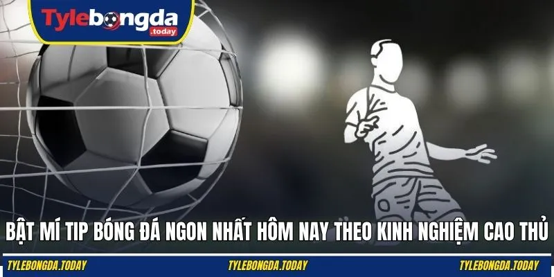 Bật mí tip bóng đá ngon nhất hôm nay theo kinh nghiệm cao thủ