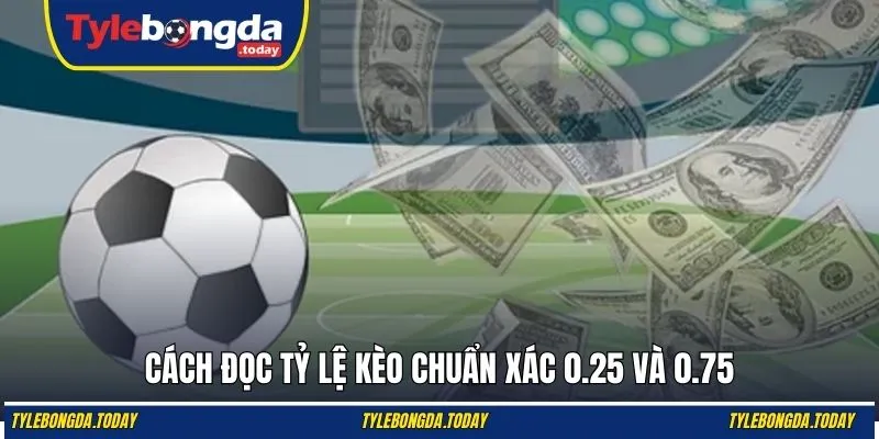 Cách đọc tỷ lệ kèo chuẩn xác 0.25 và 0.75