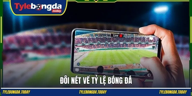 Đôi nét về tỷ lệ bóng đá