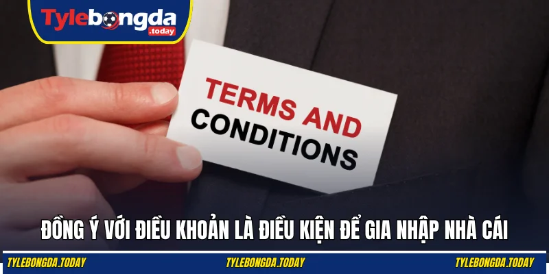 Đồng ý với điều khoản là điều kiện để gia nhập nhà cái