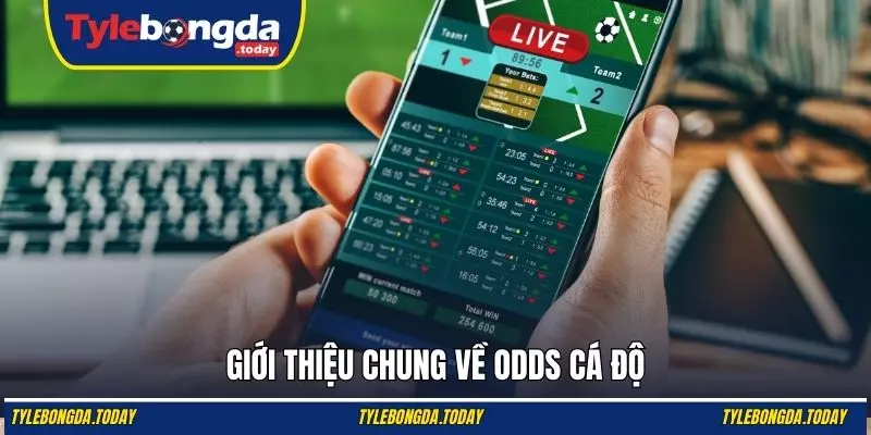 Giới thiệu chung về odds cá độ