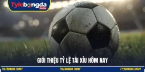 Tỷ lệ tài xỉu hôm nay