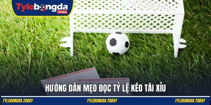 Hướng dẫn mẹo đọc tỷ lệ kèo tài xỉu