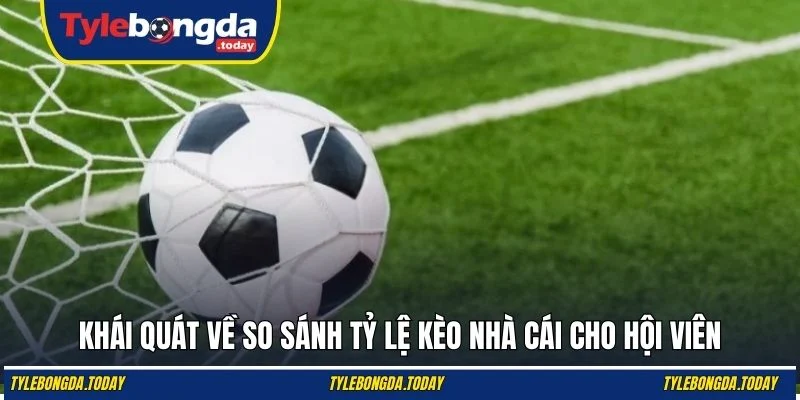 Khái quát về so sánh tỷ lệ kèo nhà cái cho hội viên