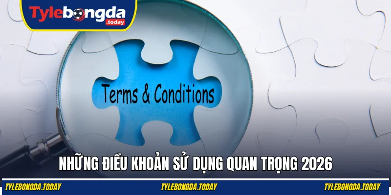 Những điều khoản sử dụng quan trọng 2026