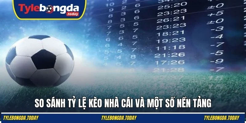 So sánh tỷ lệ kèo nhà cái và một số nền tảng