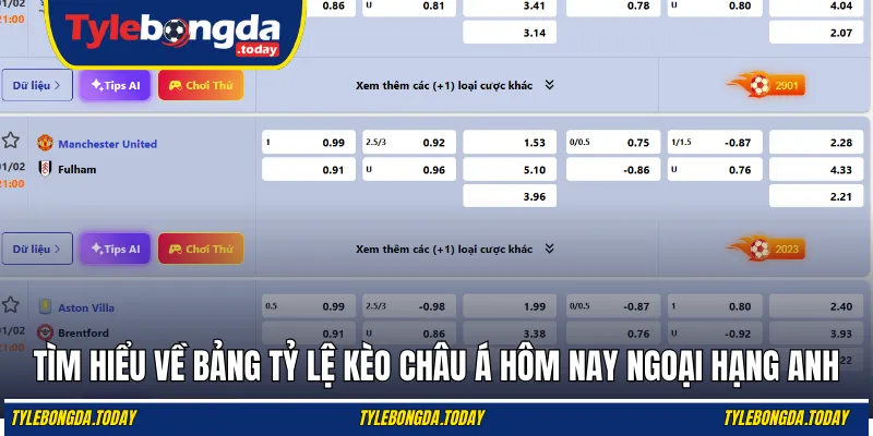 Tìm hiểu về bảng tỷ lệ kèo Châu Á hôm nay Ngoại Hạng Anh