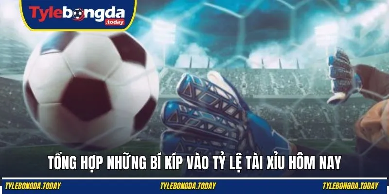 Tổng hợp những bí kíp vào kèo O/U