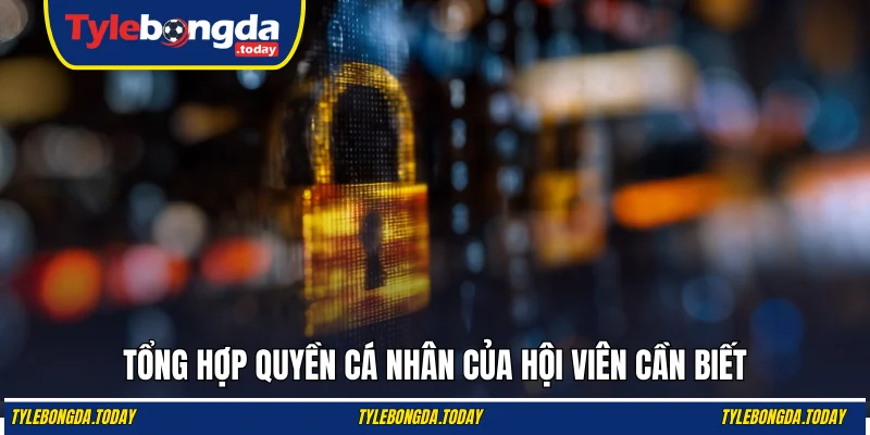 Tổng hợp quyền cá nhân của hội viên cần biết