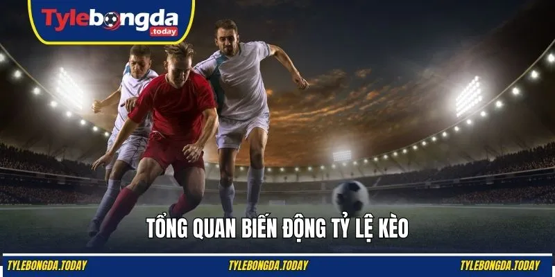 Tổng quan biến động tỷ lệ kèo 
